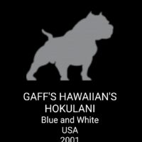 GAFF’S HAWIIAN’S HOKULANE