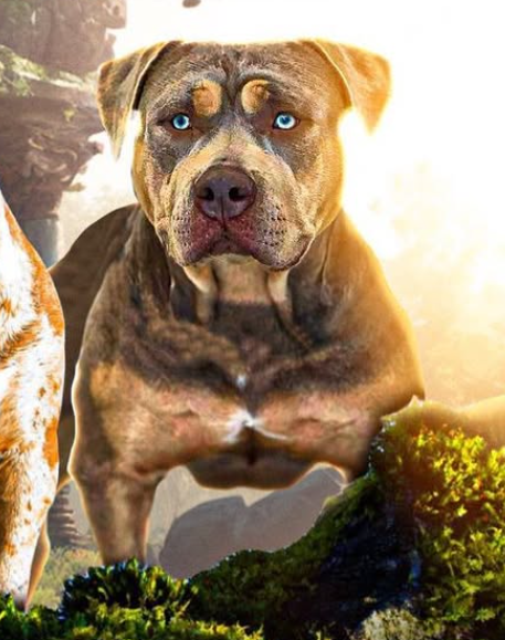 Dog Featured Image