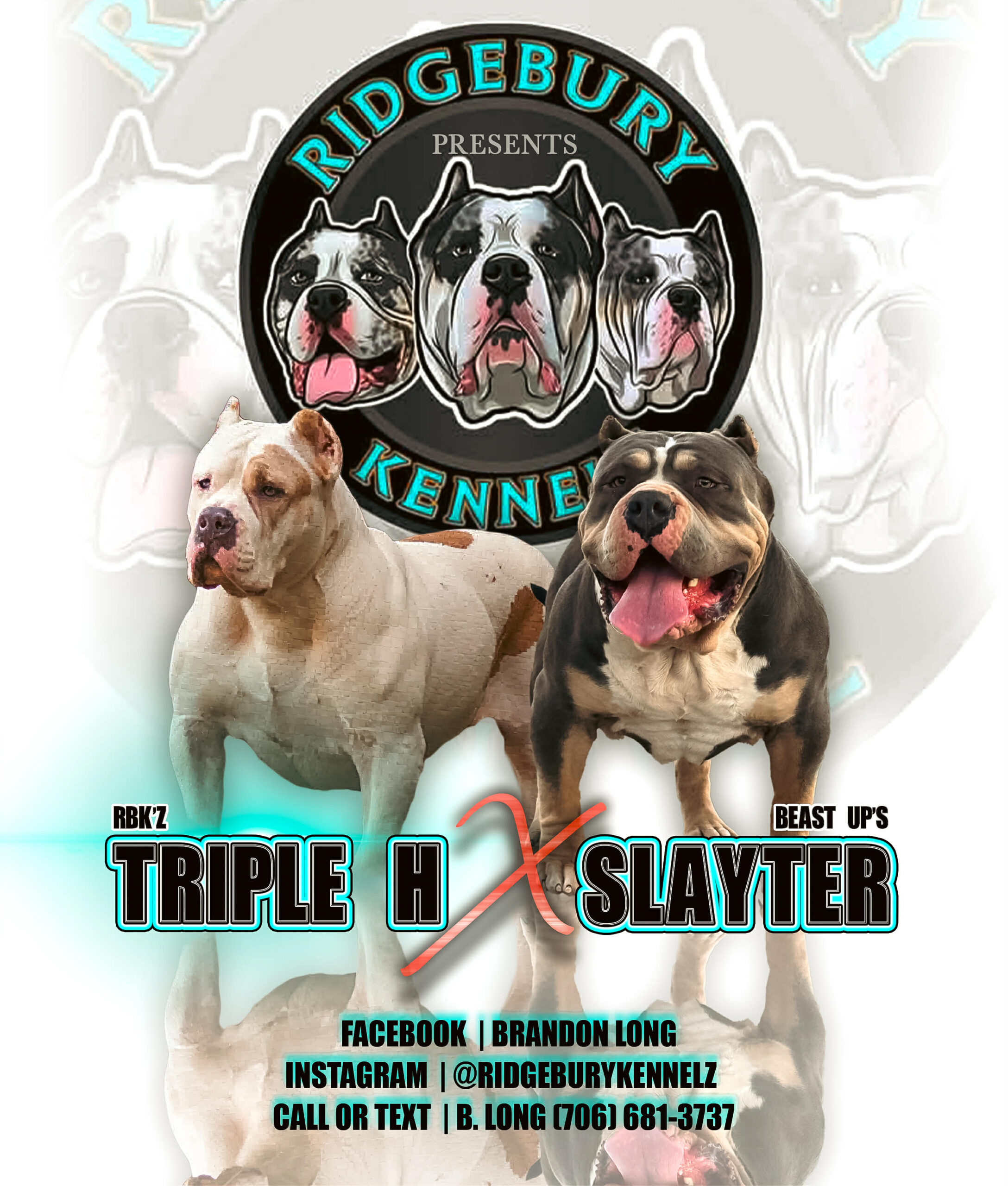 Dog Featured Image