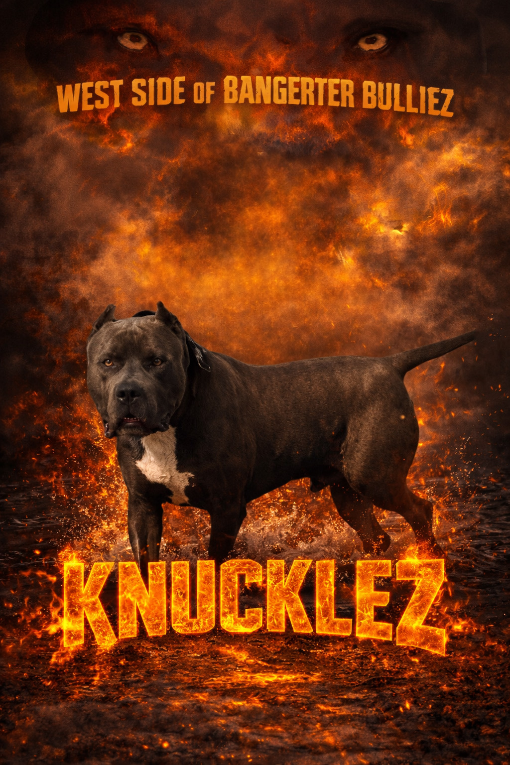 Dog Featured Image