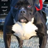 RAZOR’S EDGE P4P PREACHER
