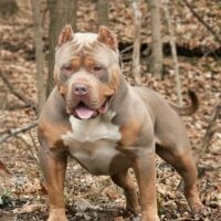 Bossy’s Standin’ On Bizness