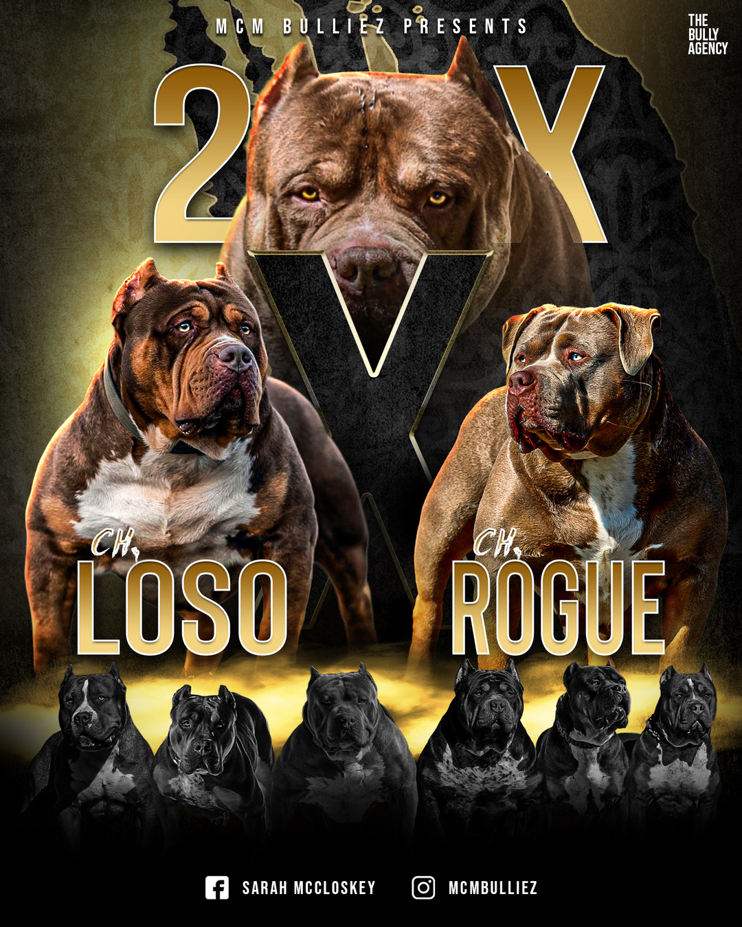 Dog Featured Image