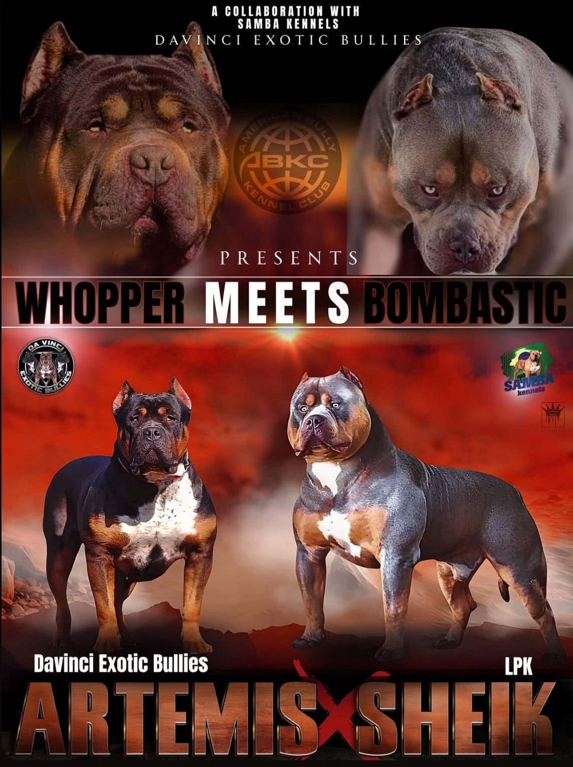 Dog Featured Image