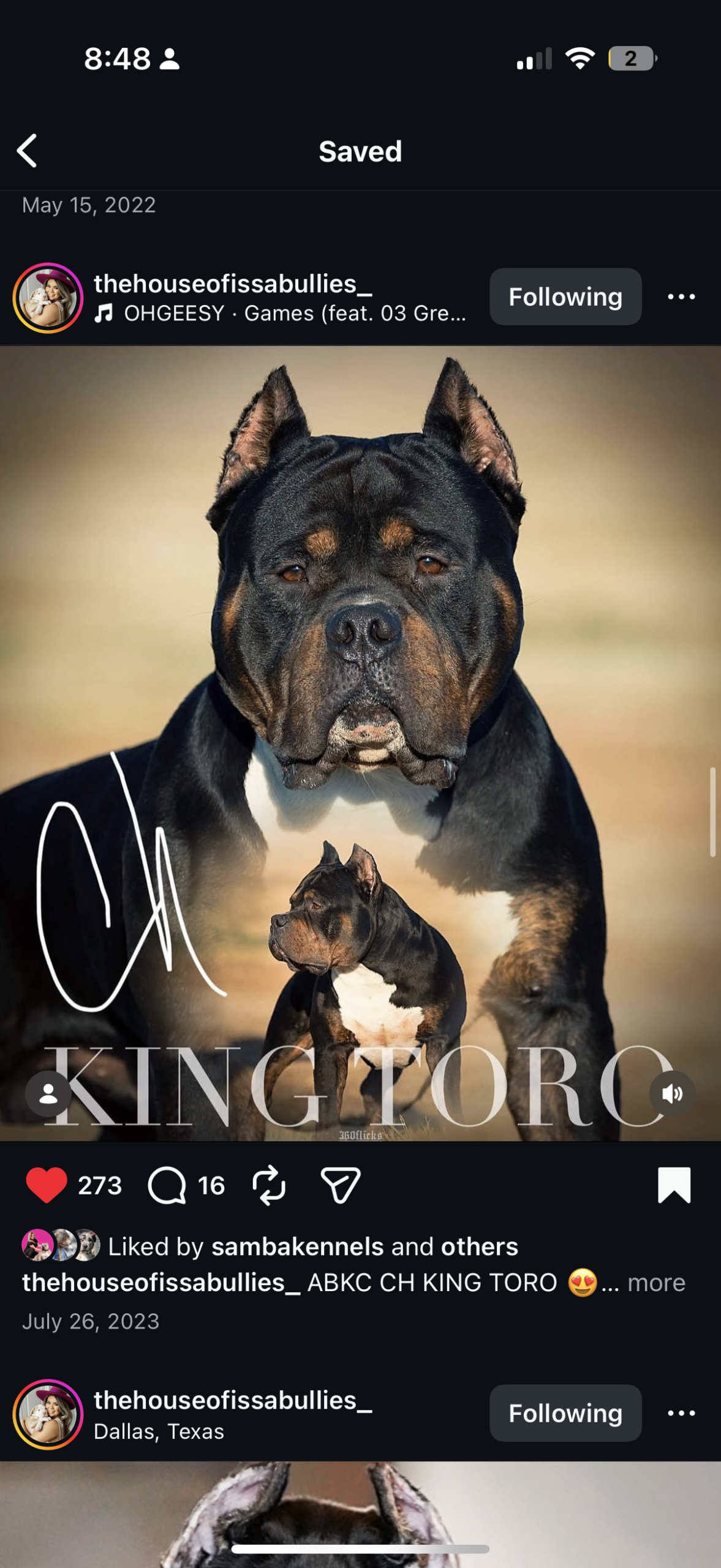 Dog Featured Image