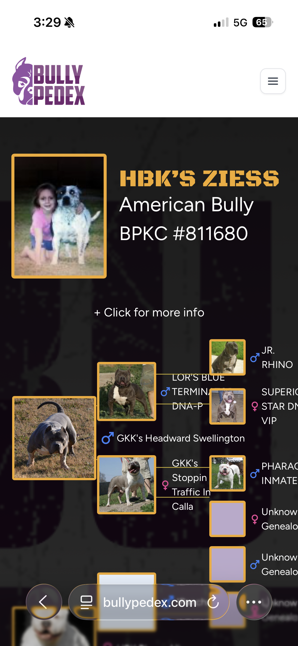Dog Featured Image