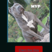 MVP’S KARMA