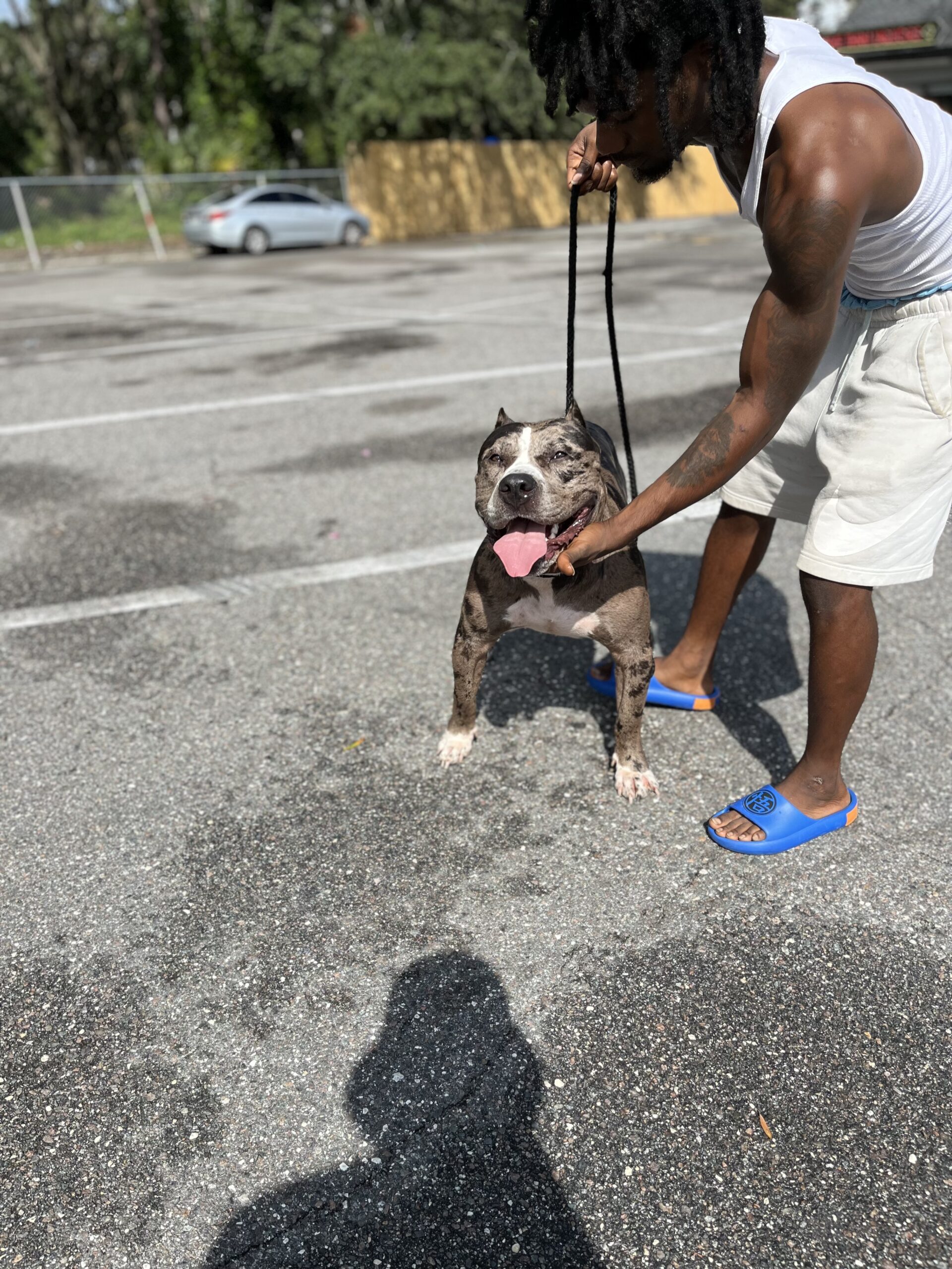 Dog Featured Image