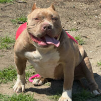 TheBoys Mary Jane