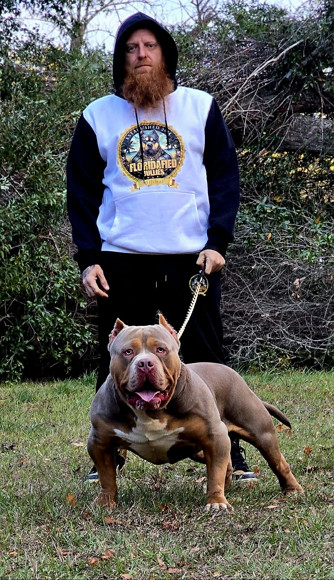 Dog Featured Image