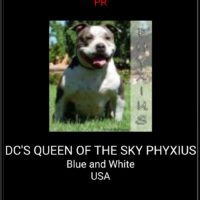 DC’S QUEEN OF THE SKY PHYXIUS