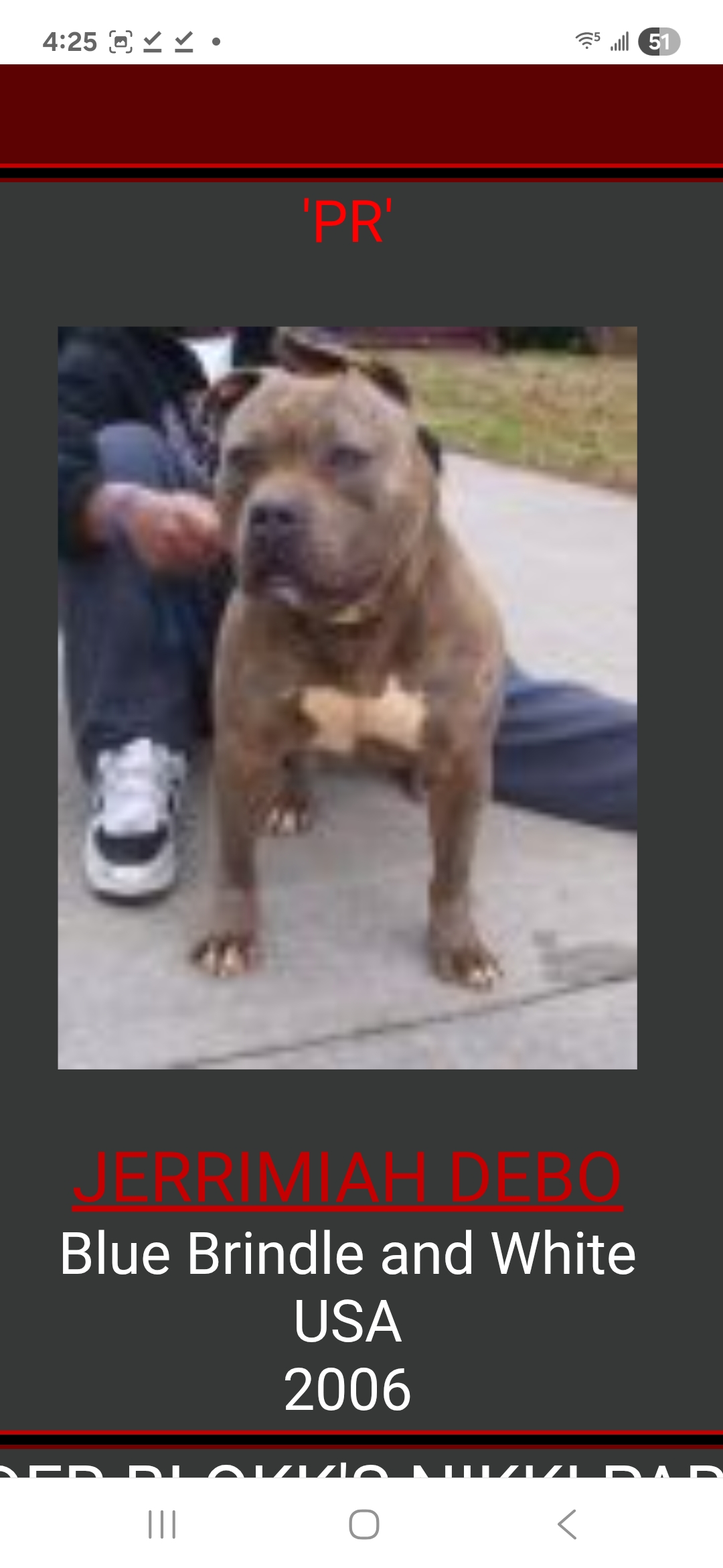 Dog Featured Image