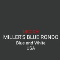 MILLER BLUE RONDO