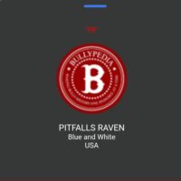 PITFALL’S RAVEN