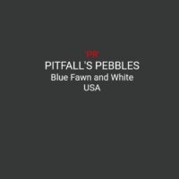 PITFALL’S PEBBLES