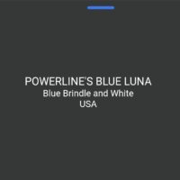 POWERLINE’S BLUE LUNA