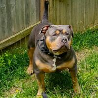 MUZYK’S MURPHY
