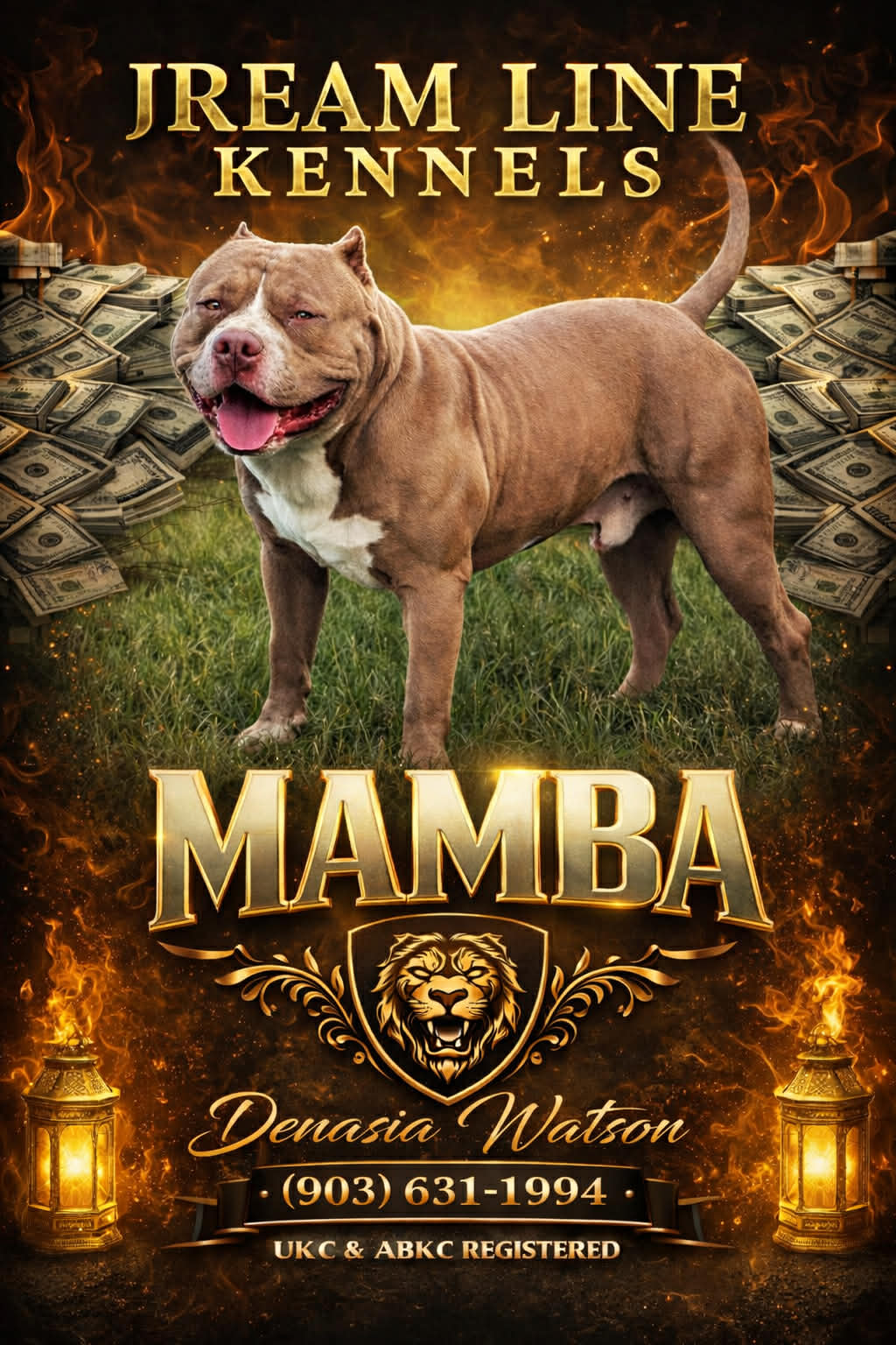 Dog Featured Image