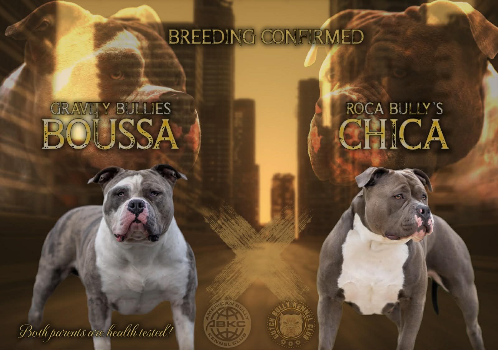 Dog Featured Image