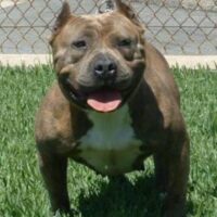 OUTLAW’S BETTY LOU DE LA LOMA*