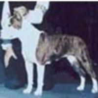 CLOVERHILL’S BLACKEYED GRENDEL