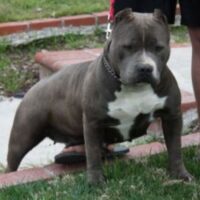 PHAT BABY*