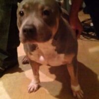BREEDMASTER’S KAHLUA