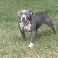 MSB’S ASPEN