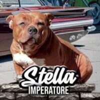 imperatore stella