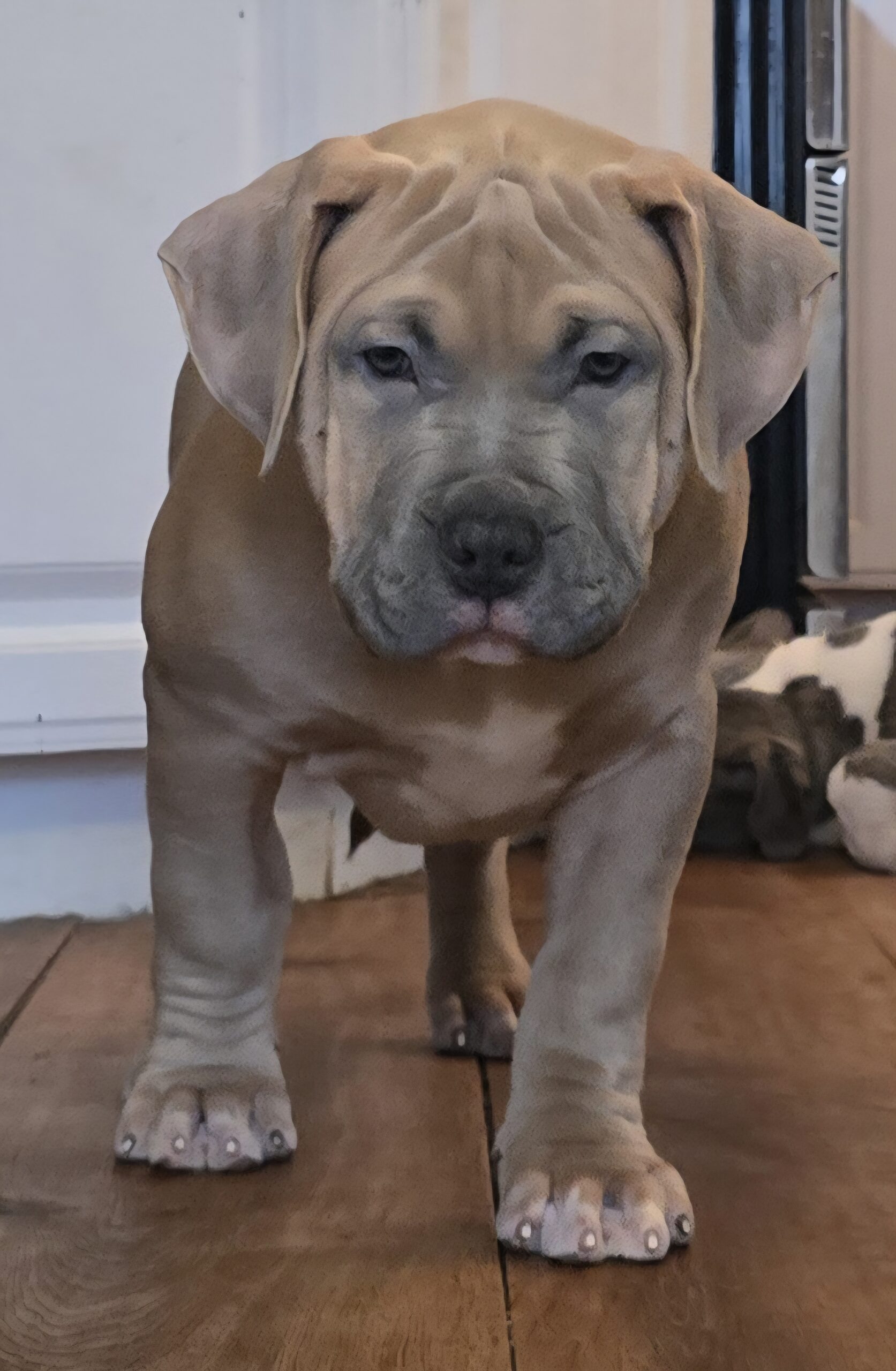 Dog Featured Image