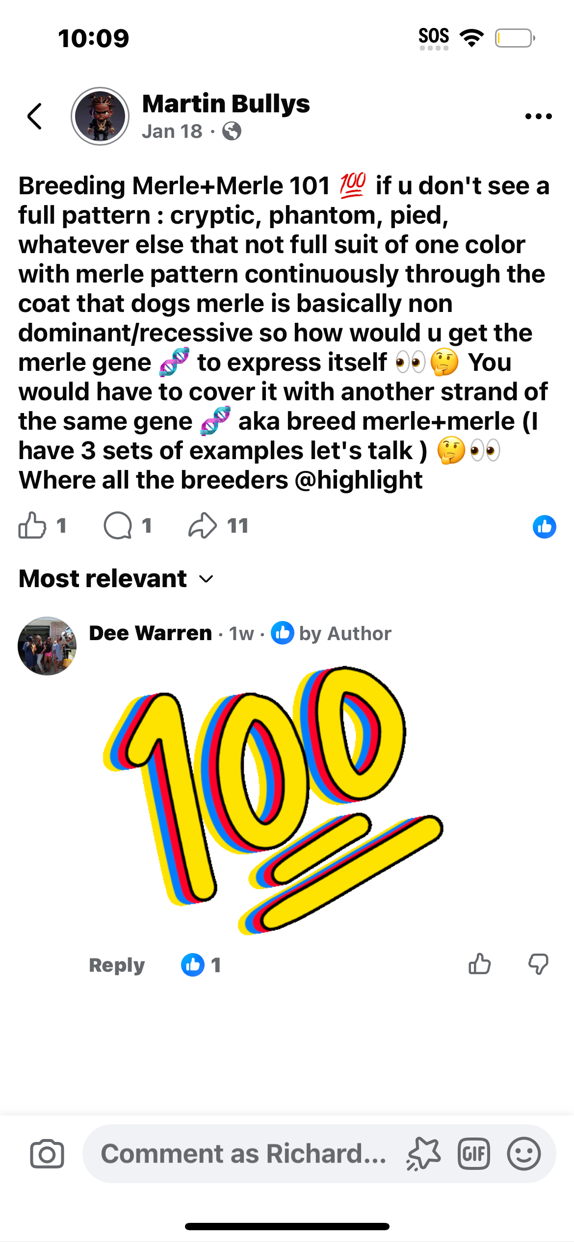 Dog Featured Image