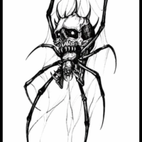 STAGLINE’S Bonnie