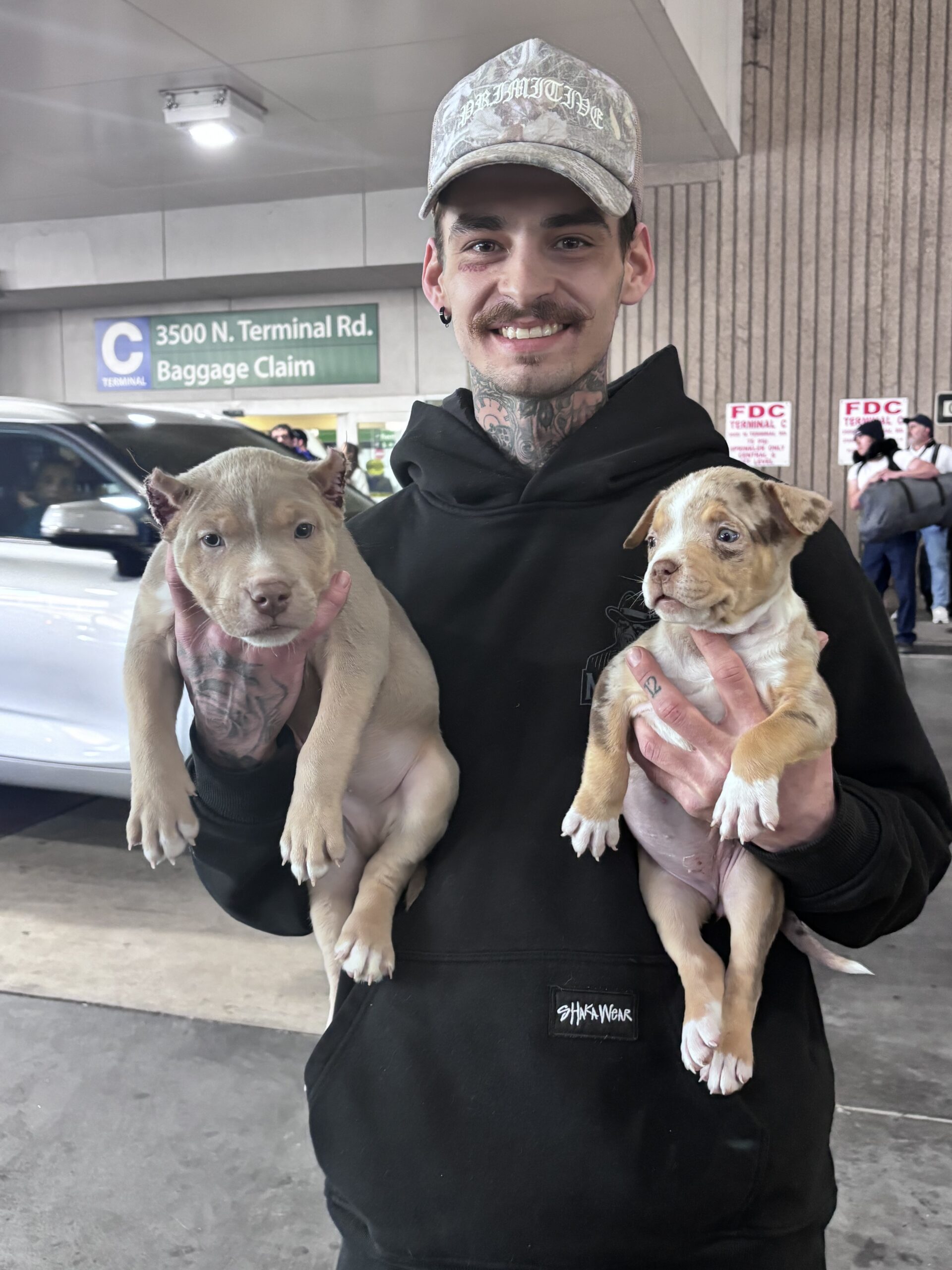 Dog Featured Image
