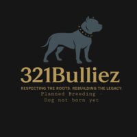 321Bulliez Power of Ra