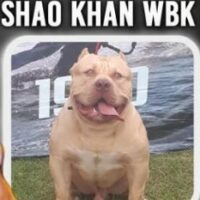 PARK DOS MONSTER SHAO KAHN