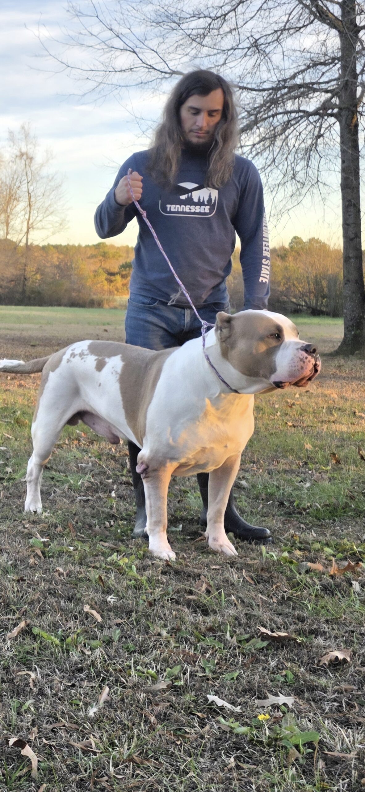 Dog Featured Image