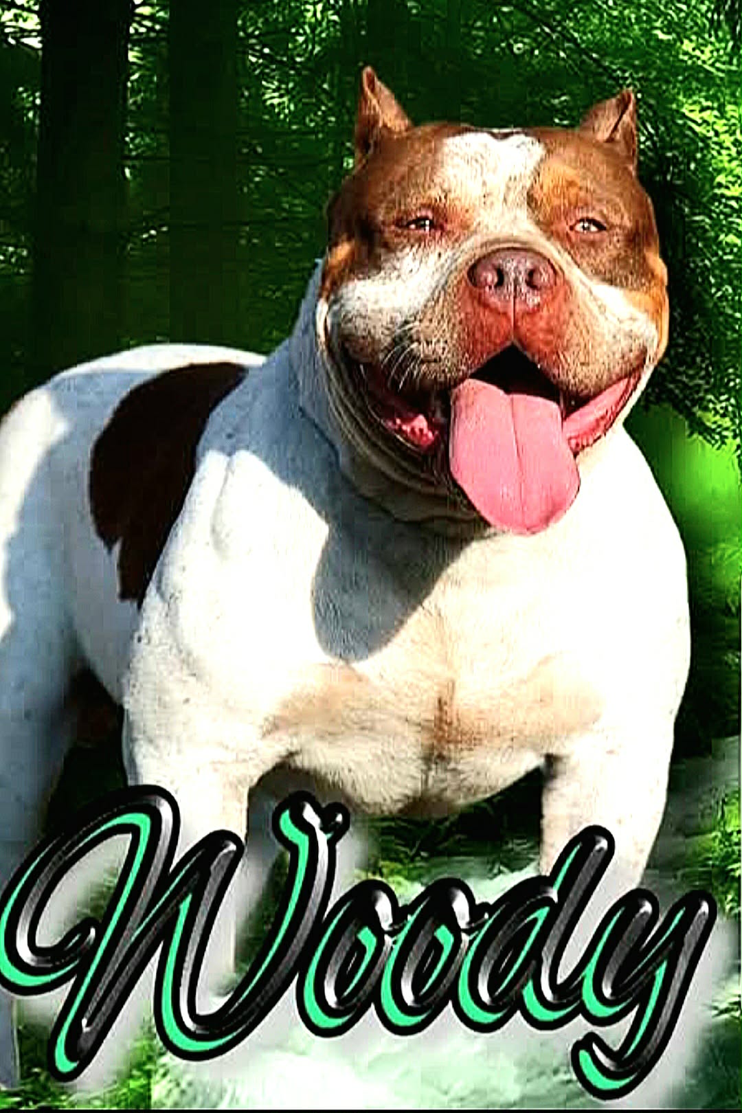 Dog Featured Image