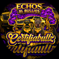AJ ❌ Ember