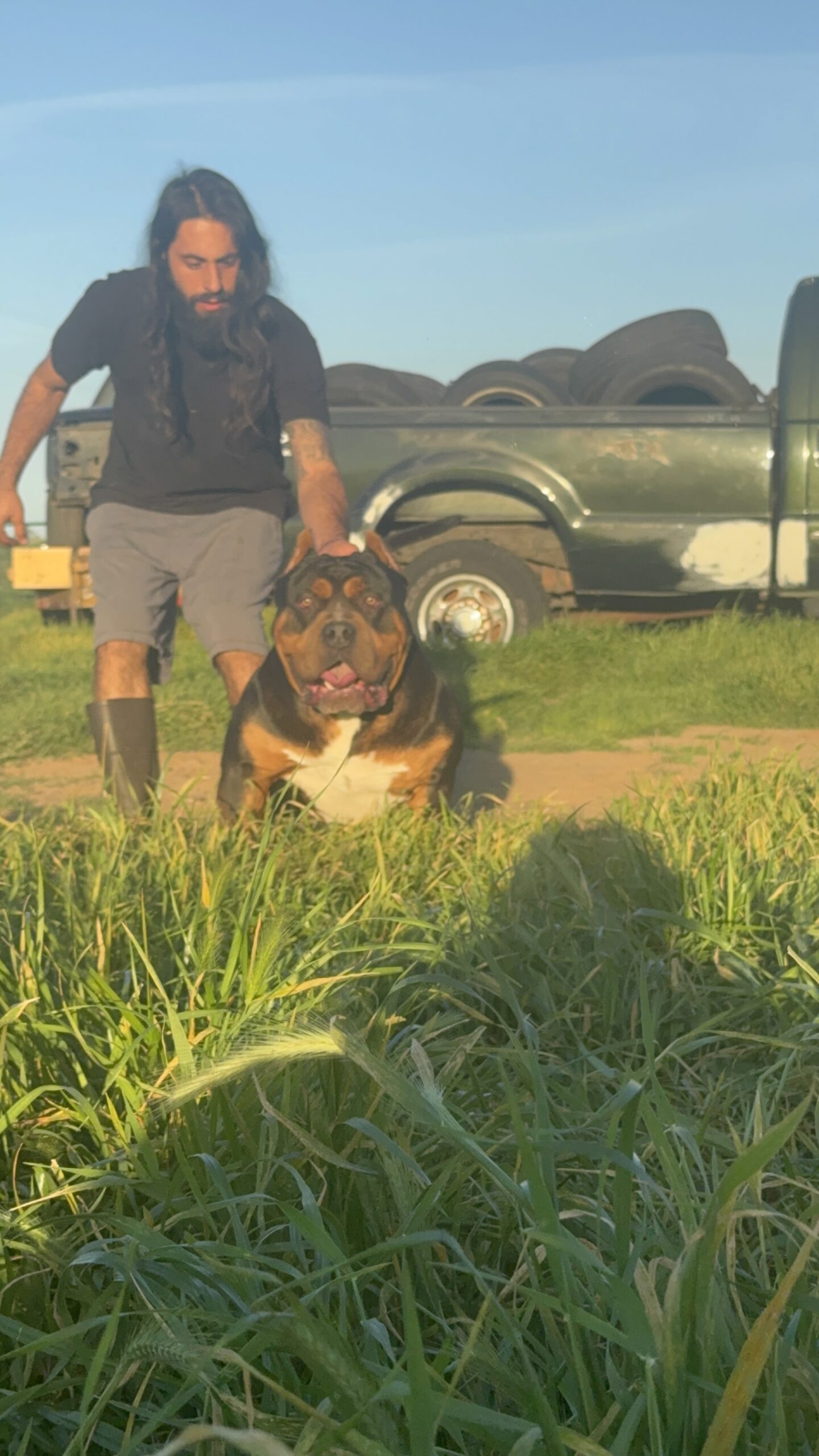 Dog Featured Image