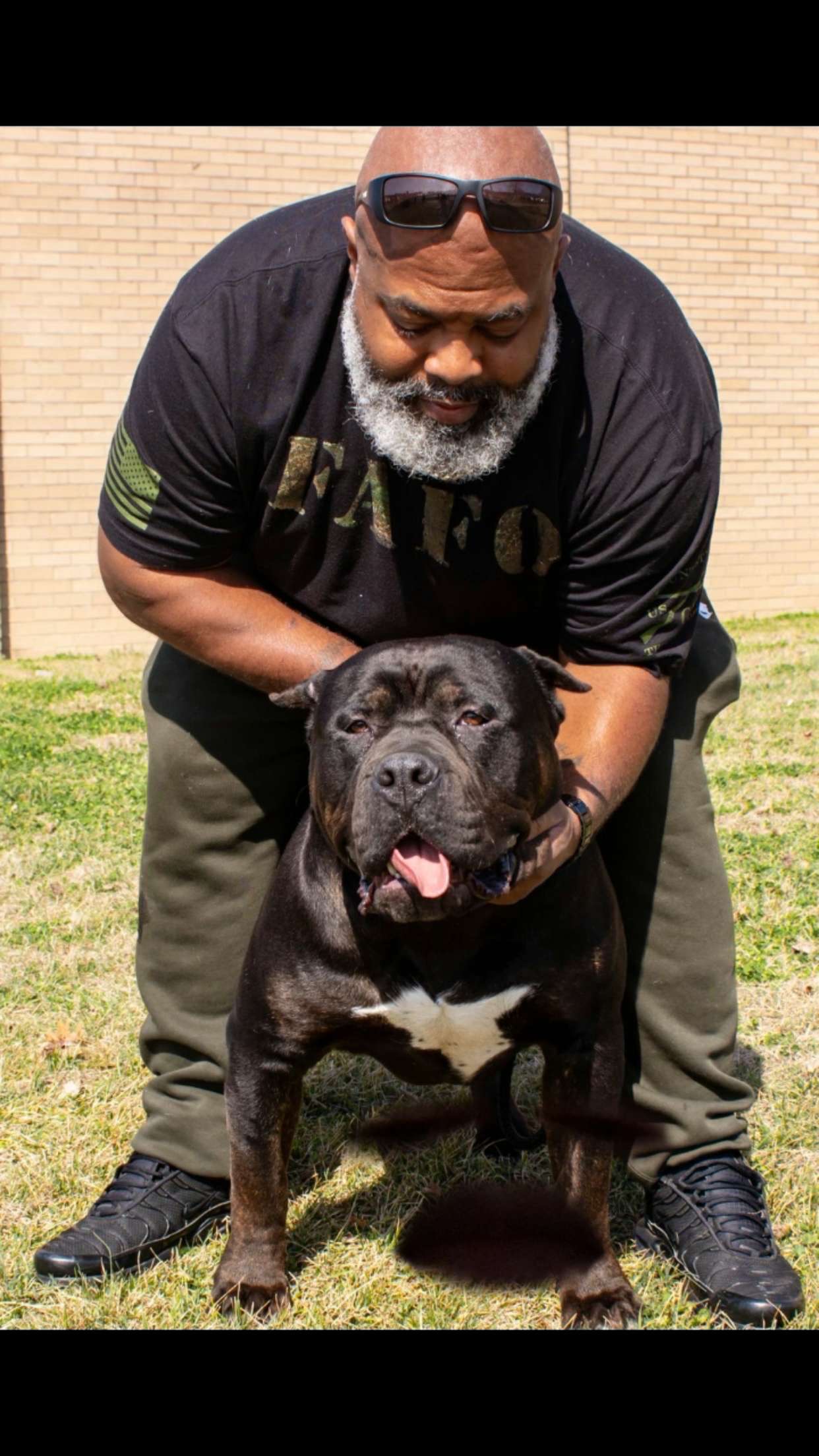 Dog Featured Image