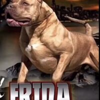 510bullz Frida