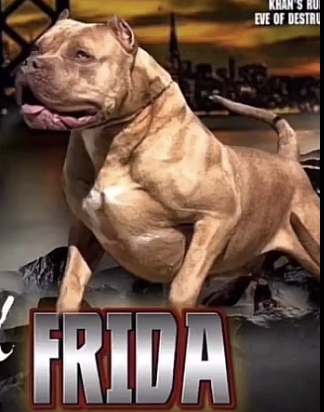 Dog Featured Image