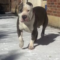 G7K ROMAN
