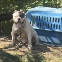 SBK’s Kilo