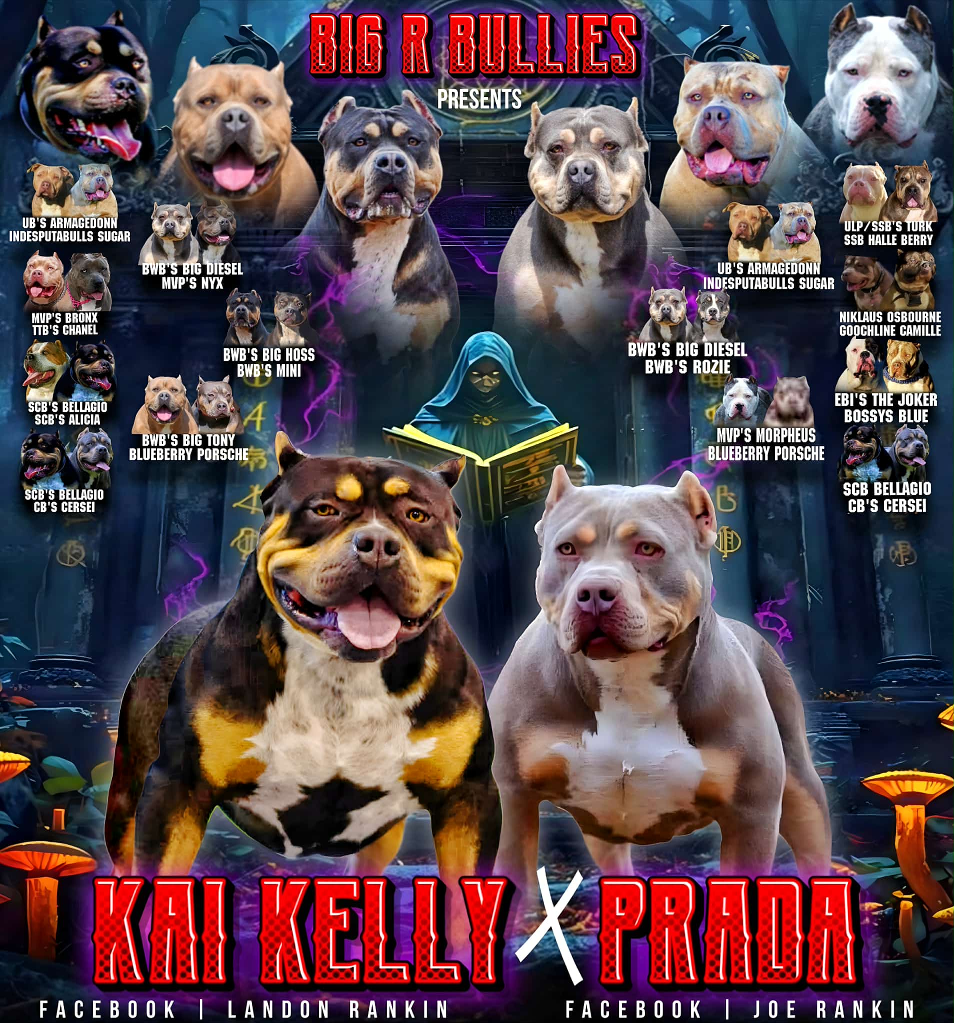 Dog Featured Image