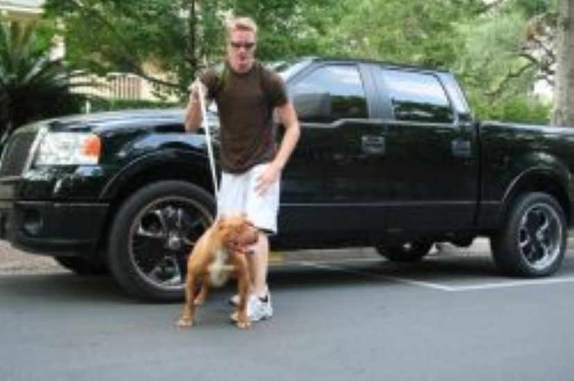 Dog Featured Image