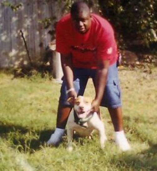 Dog Featured Image