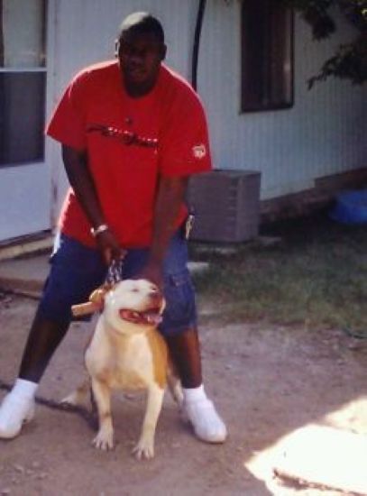 Dog Featured Image