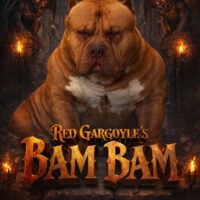 Red Gargoyle’s Bam Bam