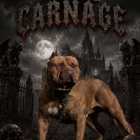 LG’s Carnage